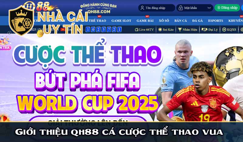 giới thiệu qh88 cá cược thể thao vua